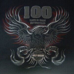 Vintage Men's Harley Davidson t-shirt Black 100 year anniversary medium